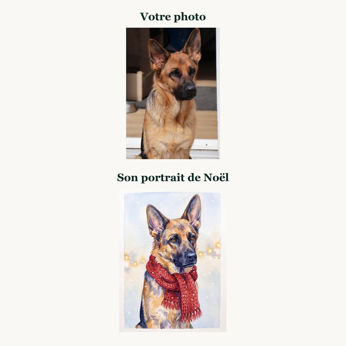 La photo d'un berger allemand et son portrait de Noël à l'aquarelle, l'un au-dessus de l'autre