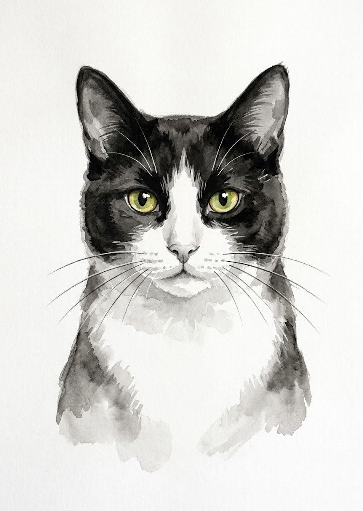 Portrait Chat noir et blanc, style Encre