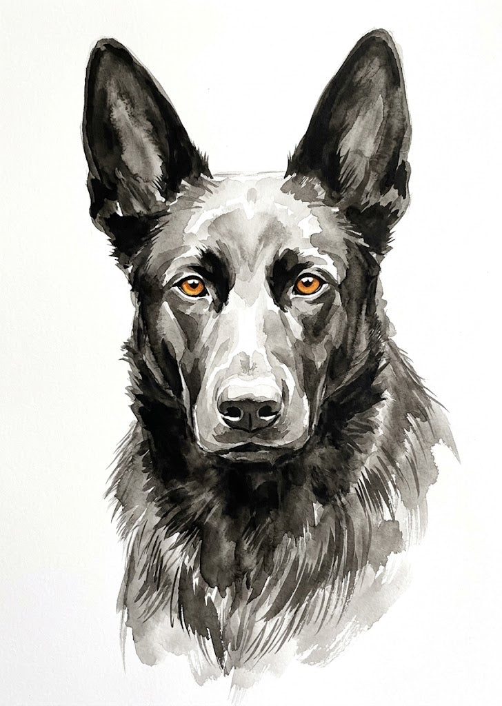 Portrait Berger allemand, style Encre